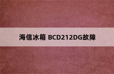 海信冰箱 BCD212DG故障